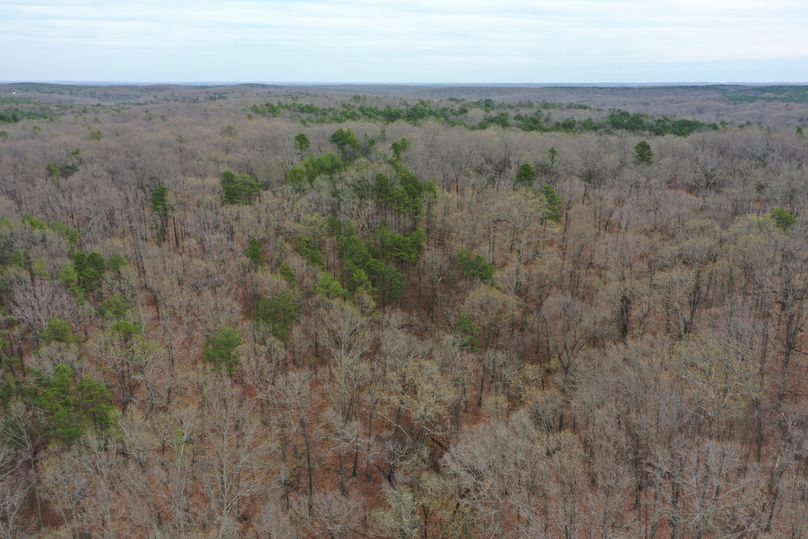 DJI_0081