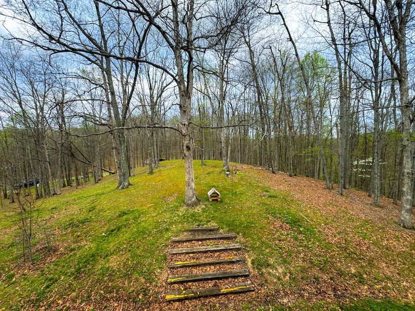 Calhoun, WV 132.84 AC Szegi 2-089