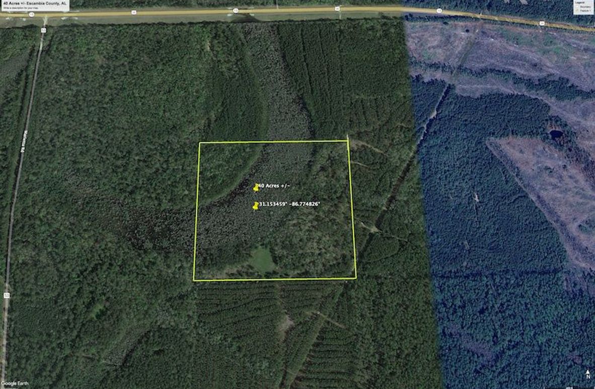 Aerial #1 Approx. 40 Acres Escambia County, AL