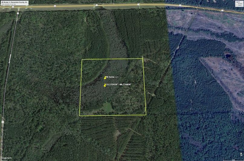 Aerial #1 Approx. 40 Acres Escambia County, AL