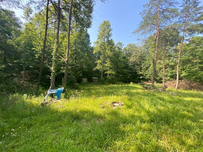 017 field area near the tiny home copy