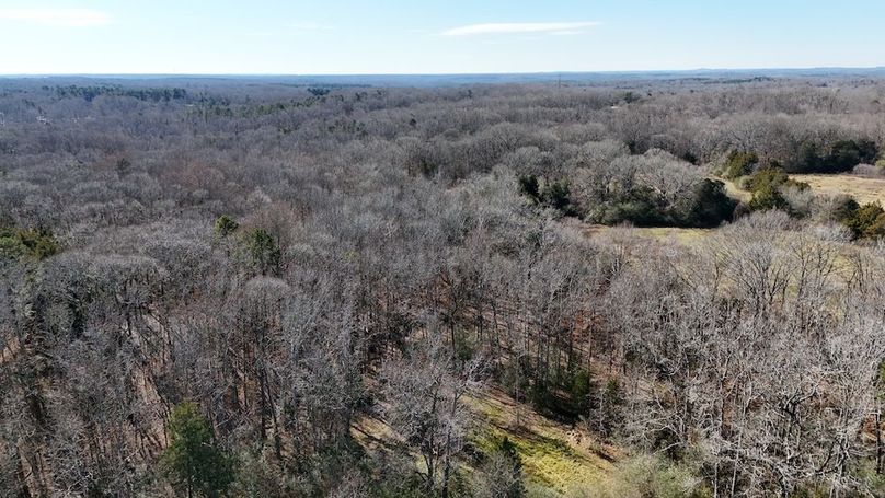 DJI_20260116133431_0185_D