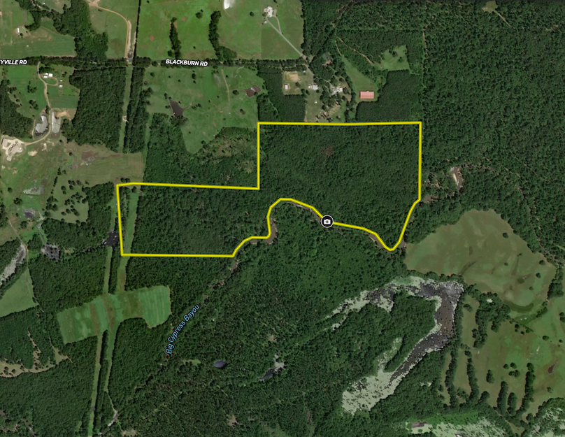 Screenshot 2025-04-23 at 12.48.33 PM