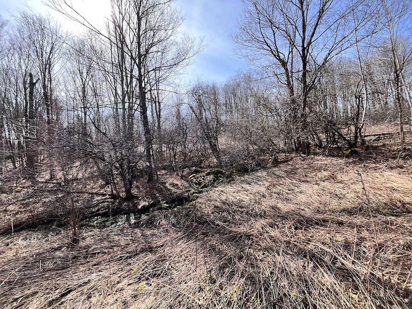 Lewis_26_Somberg Photo 56