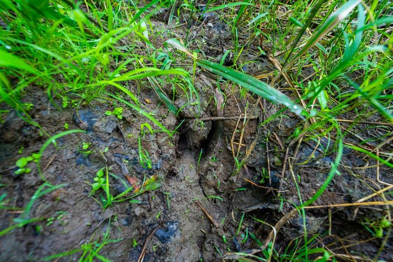 Copy of DSC06267 Large