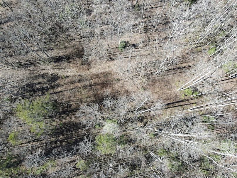 Cherokee 118.85 Harris Top-19