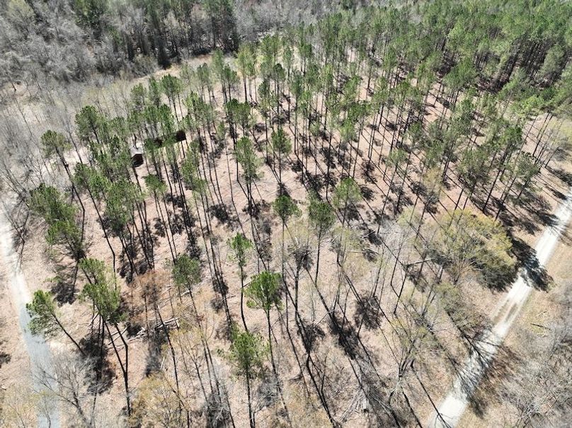 dji_fly_20240307_121034_148_1709831772135_photo