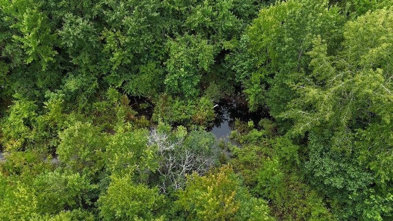 dji_fly_20250715_115250_0603_1752596193772_photo