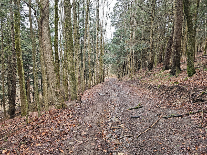 photo_ee5b373f-38d3-4f92-925e-41a501cb3d83