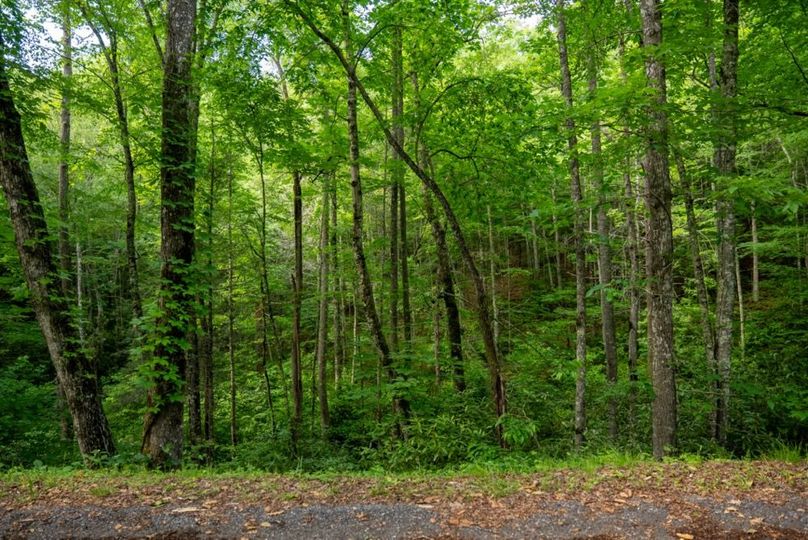 63 Featured_ProPhoto-32