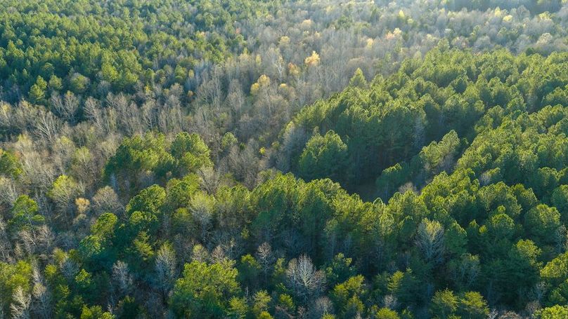 Granville NC 183 Premium _Pro Photo-71