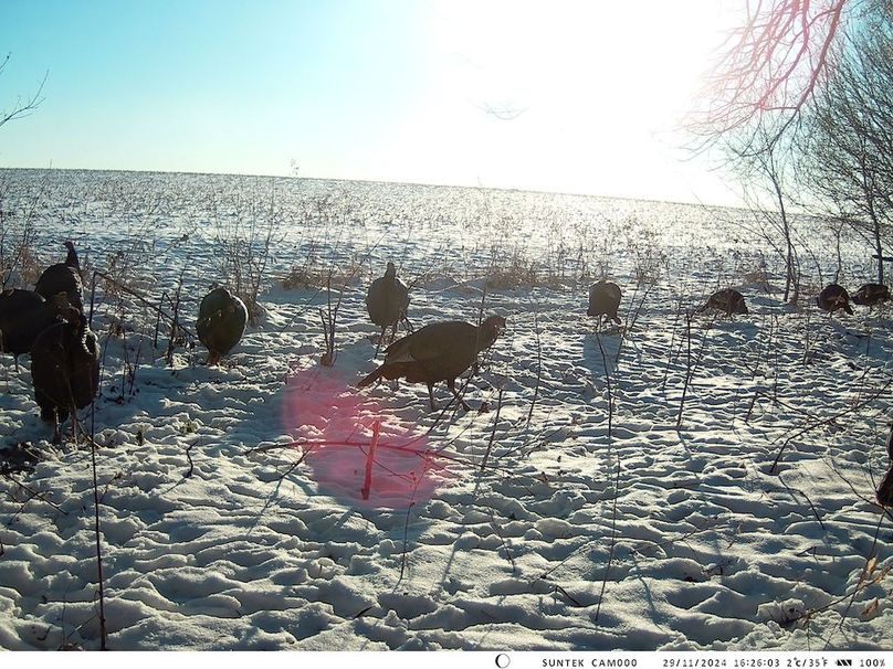 2024-1129-162604_000428