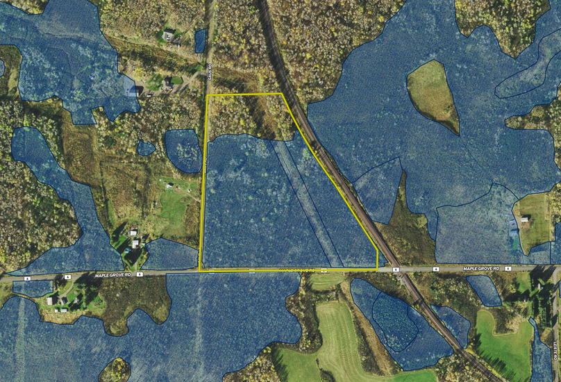 TBD Gaus Rd wetland layer