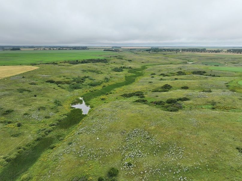 Copy of DJI_20250704133152_0602_D