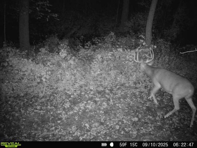 868032066759352-50-3-09102025062248-V-W1011318 (1)