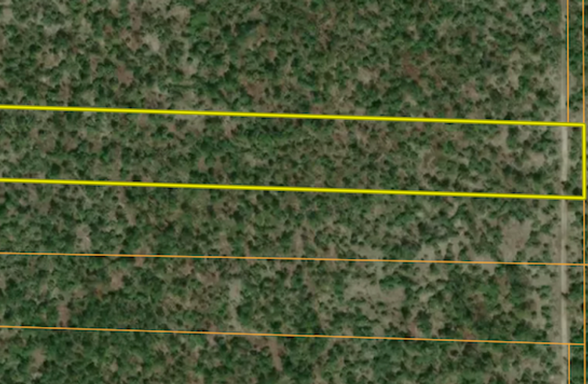 Screenshot 2025-09-10 at 7.53.34 AM