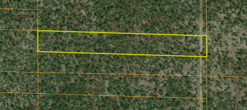 Screenshot 2025-09-10 at 7.53.34 AM