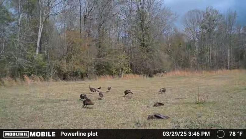 Copy of Temp_1929926-20250329204739-100MFCAM_MFDC0233