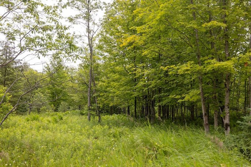 Mackinac 160 Leppiaho-22