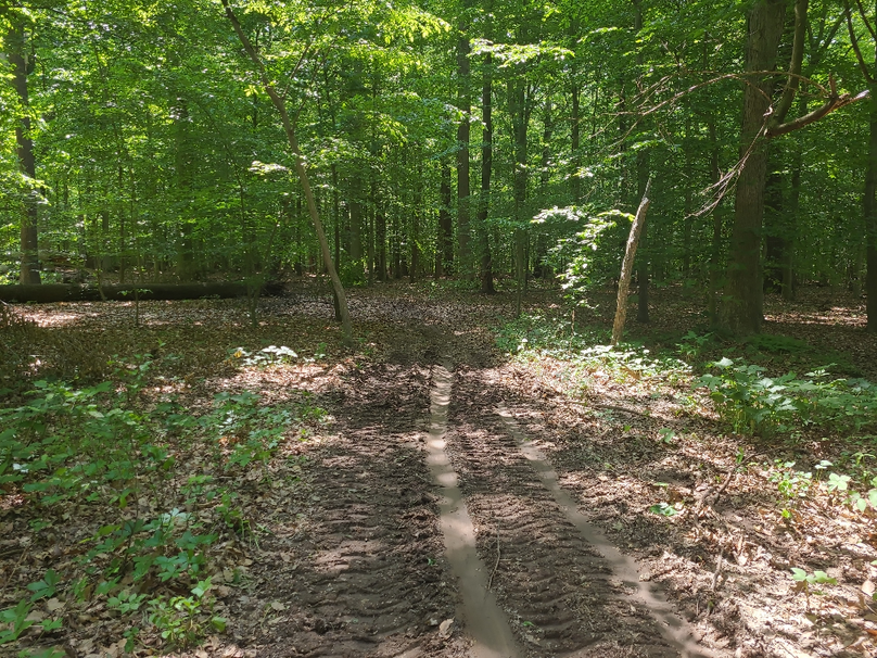 26.48ac_McKenneyLn_QAnnes_27