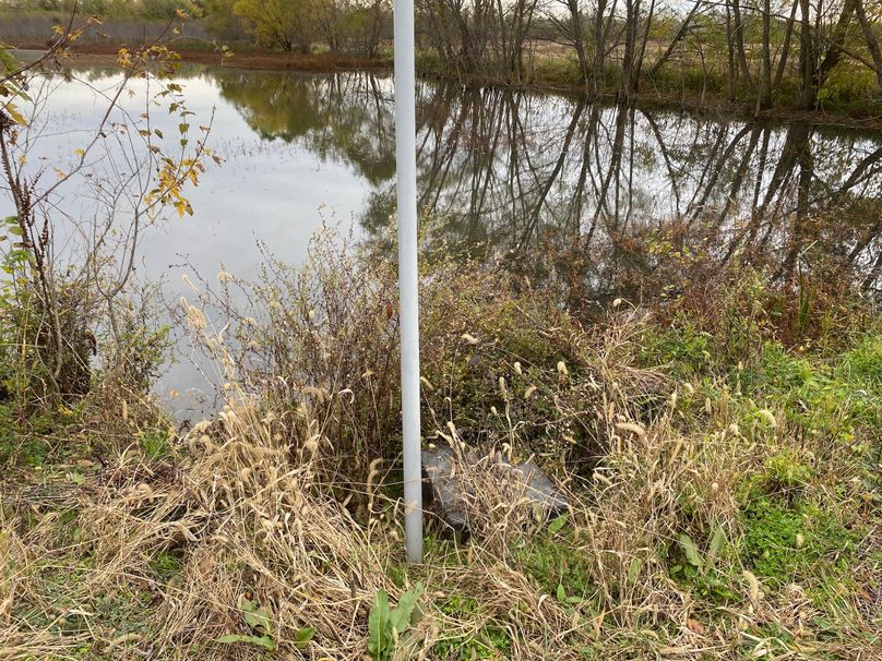 pics from late 2021 and early 2022. New plots being planted in Aug 2023 for new pics (19)