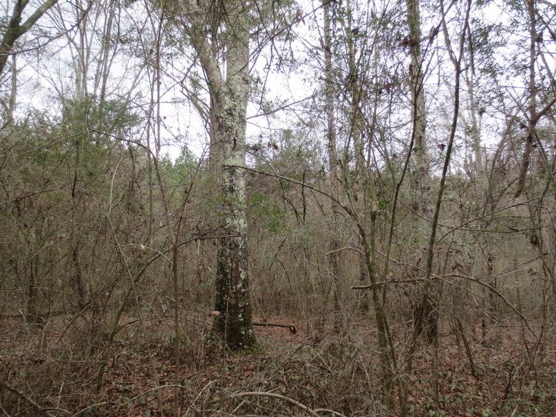 82AF4C09-C708-46C0-848D-3CA216E1768B_1_105_c