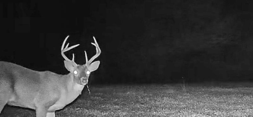 Claiborne Co - 274 - Marian-024