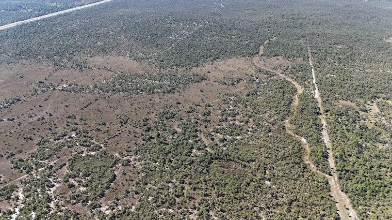 DJI_20251119124452_0984_D