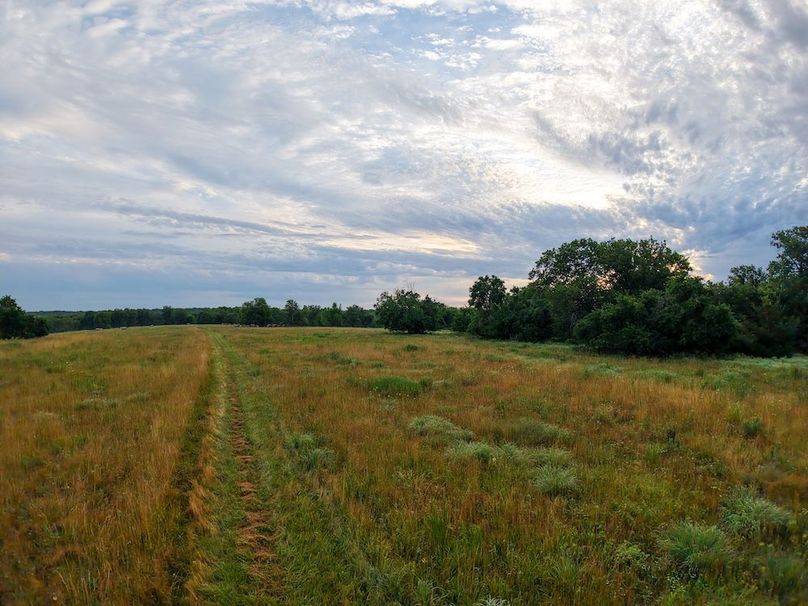 DJI_20250630063318_0247_D