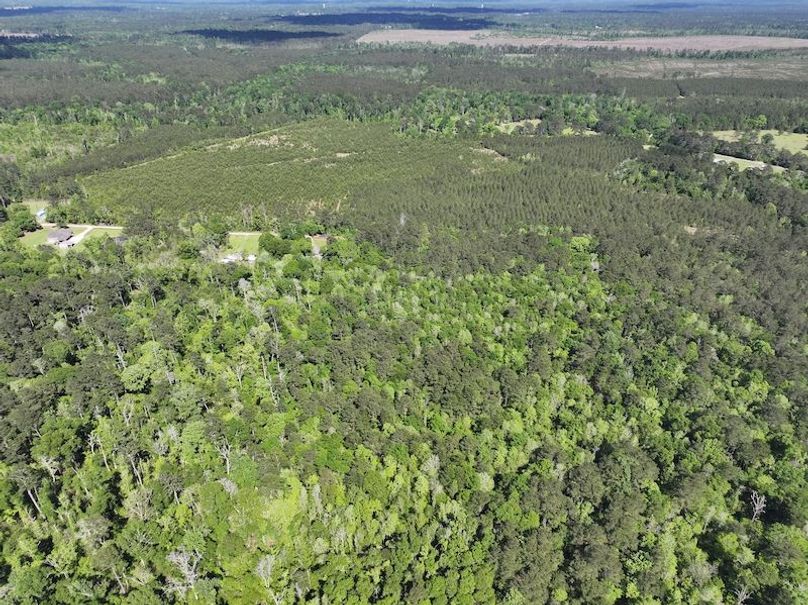 dji_fly_20260408_140852_0070_1776086821526_photo