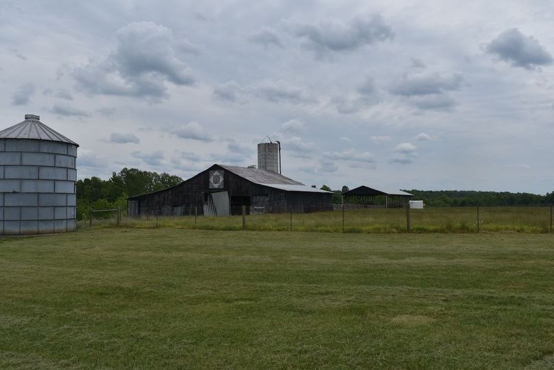 DSC_2593