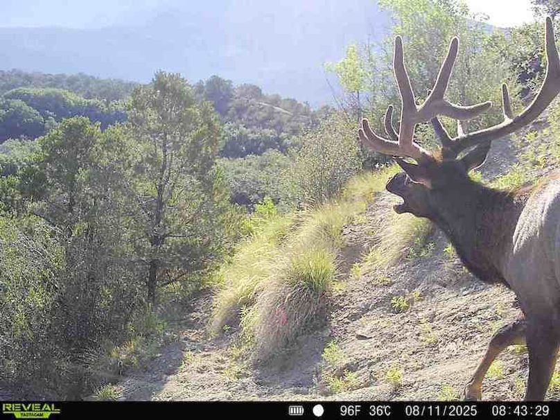 860516060007964-100-2-08112025084328-V-W1004055