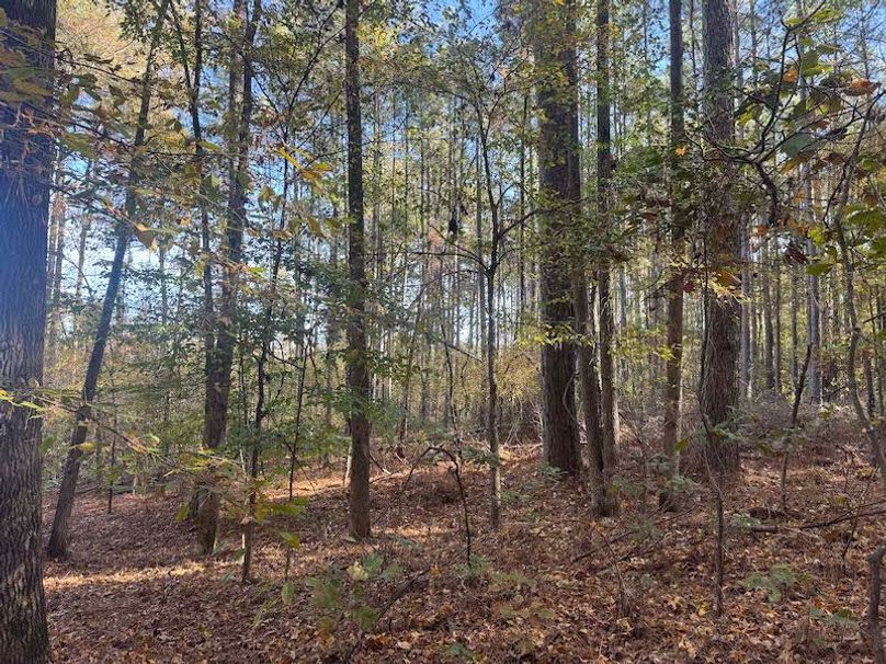 Jeff 11720251111_0218