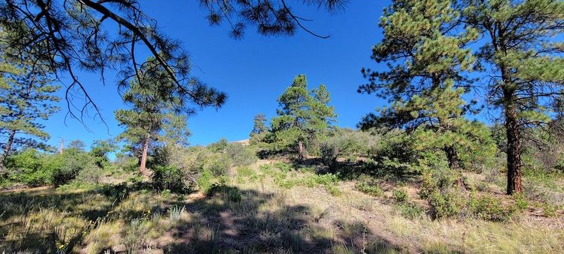 Copy of 20210827_091006