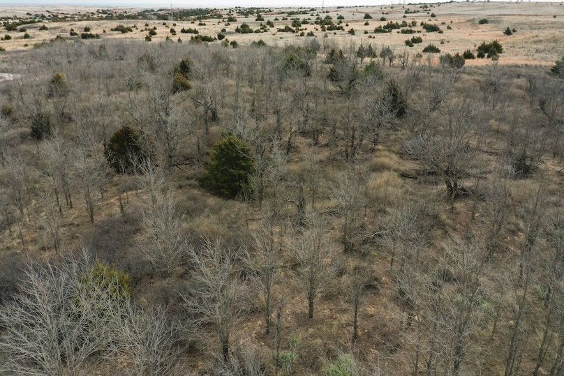 DJI_0574