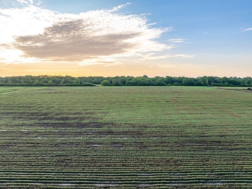 Copy of Noxubee 40 Tract 2-14