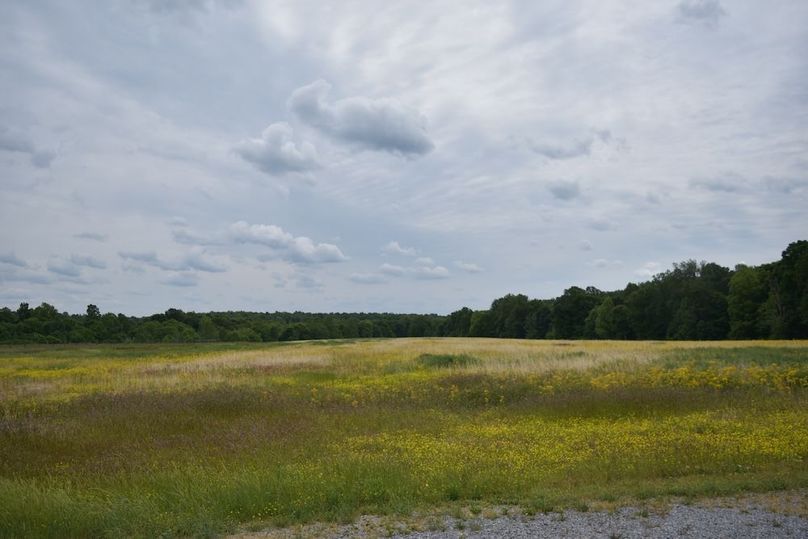 DSC_2584