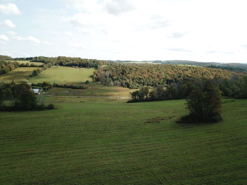 DJI_0019