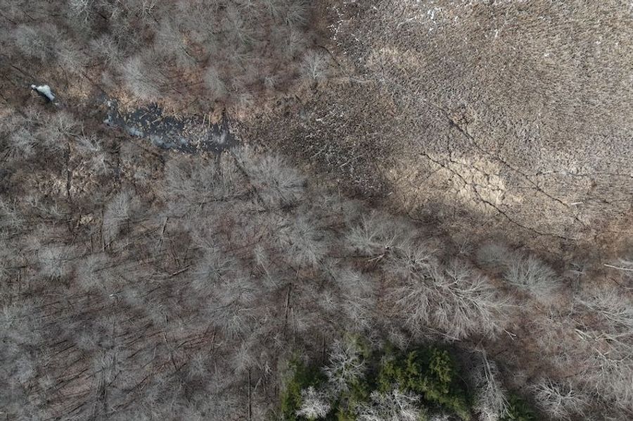 DJI_20250304105338_0099_D