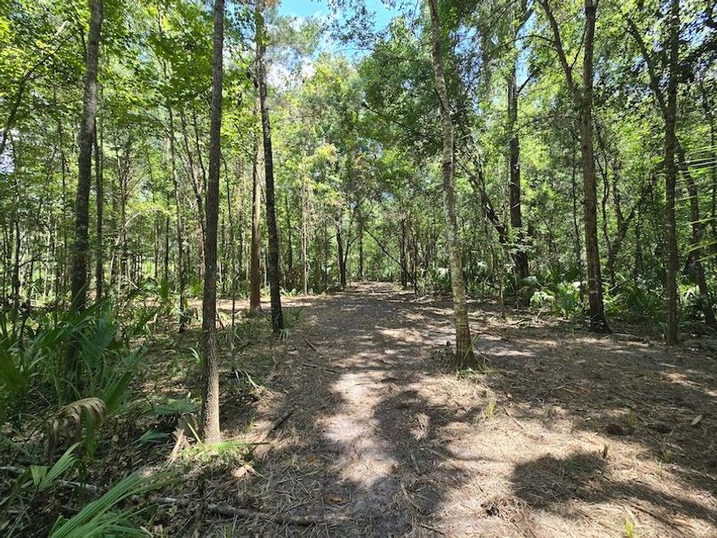 1.01ac, Citrus, Josiah Ronco14