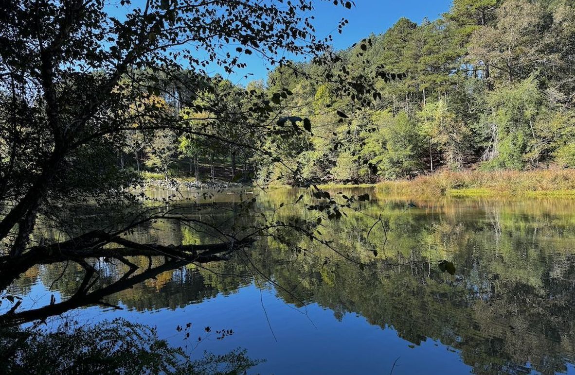 001_Profile Waterfront Lot