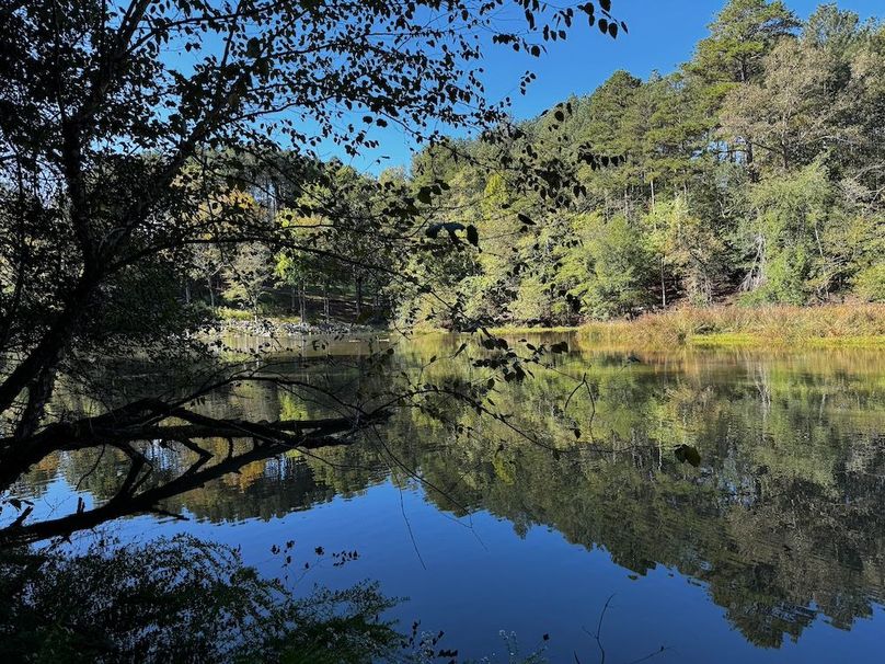 001_Profile Waterfront Lot