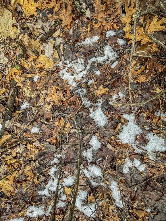 Adams 10.06 Johnson-13