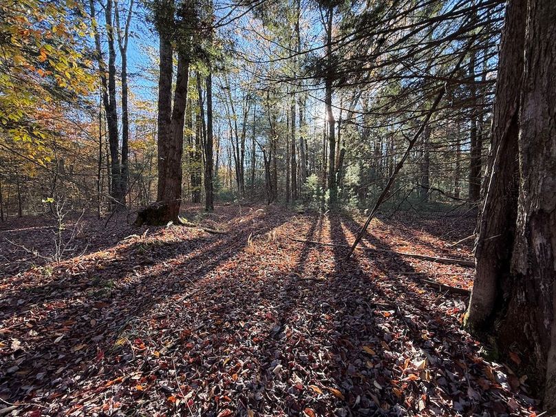 Oswego_26.28_Koehler Photo 19