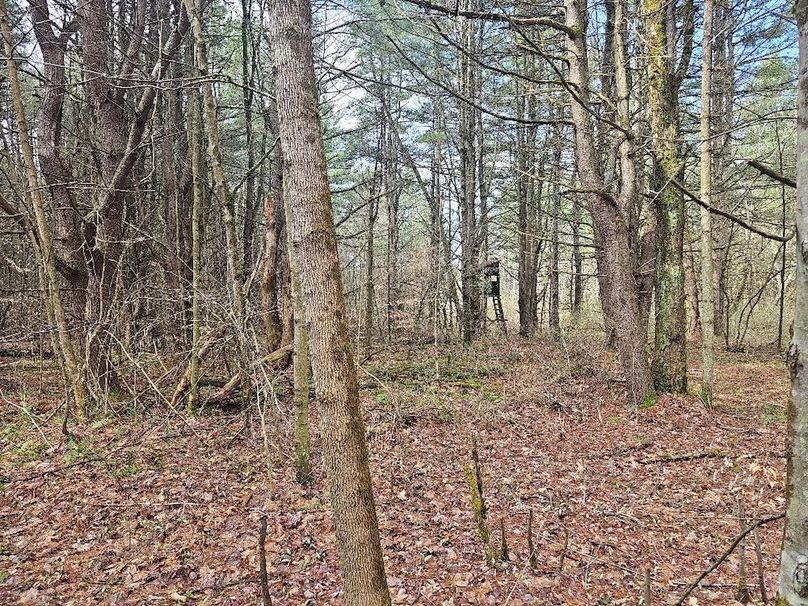 photo_f246e8cf-fab6-4fe6-be93-0871c5f5374b