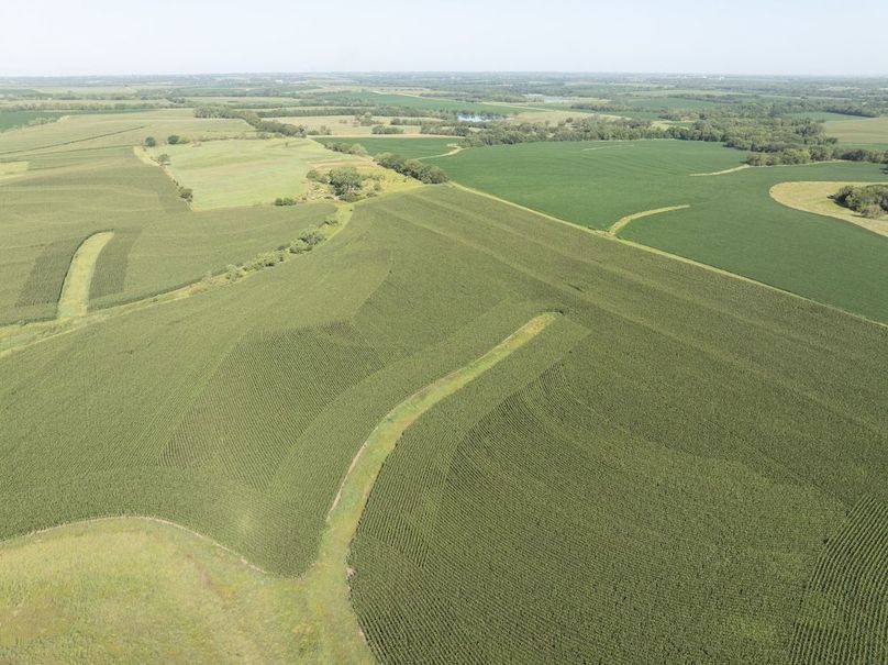 DJI_20250729095310_0026_D