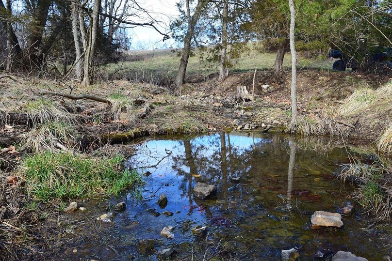 DSC_0287_inPixio (2)