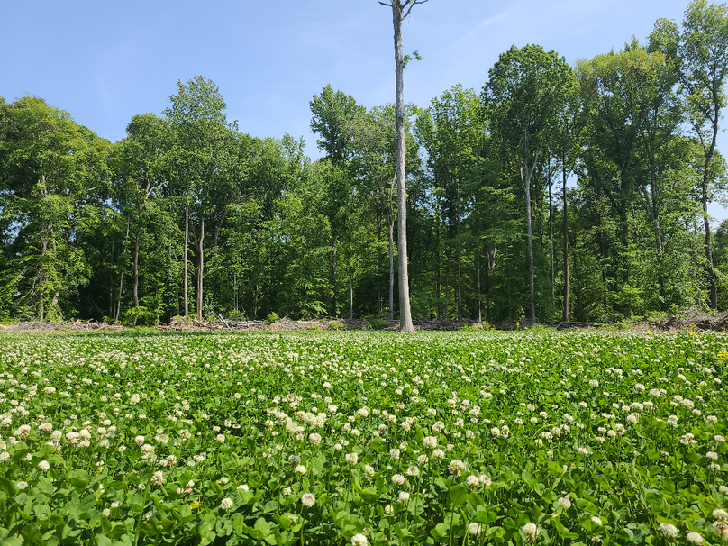 26.48ac_McKenneyLn_QAnnes_42