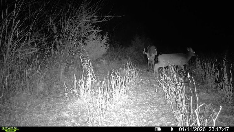 016579001744932-94-4-01112026231747-V-SYFW07155