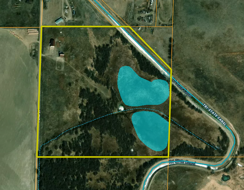 surface water - fr willow